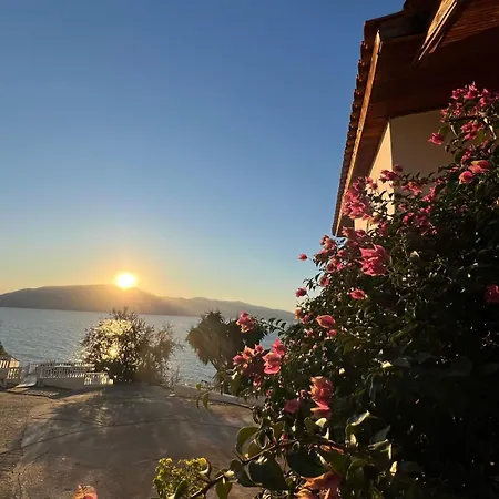 Blue Dream Holiday 3*