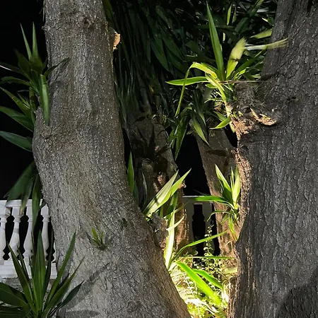 Blue Dream Holiday Hotel Vlorë