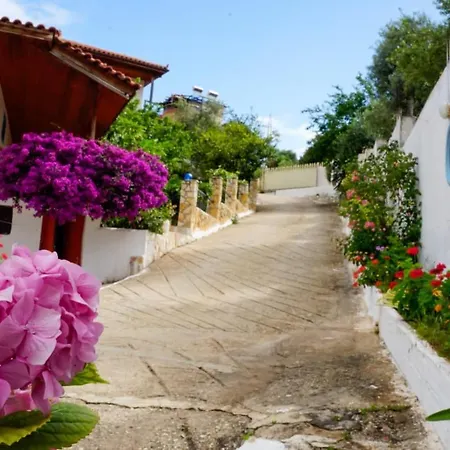 Blue Dream Holiday 3*